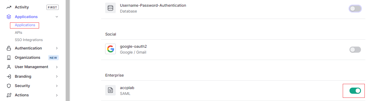 Auth0 connections tab
